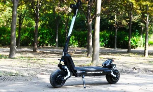 roadrunner scooters