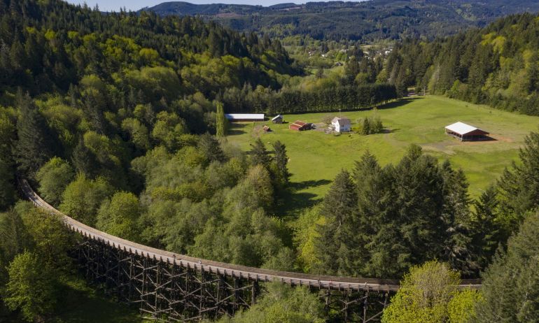 Electric Scooters: Exploring Portlands Urban Adventure